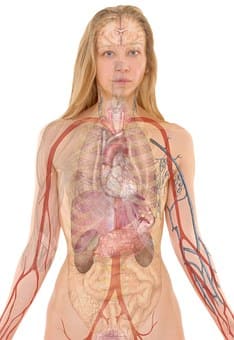 FP Anatomía Patológica y Citología
